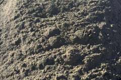 Collentro-Beach-Sand-1