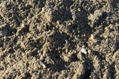 Collentro-Beach-Sand-2