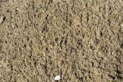 Collentro-Beach-Sand-3