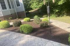 Three-Day-Cleanup-6