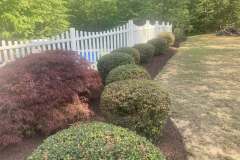 Three-Day-Cleanup-7