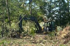 Clearing-Project-Waldorf-MD-1
