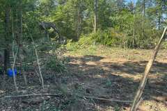 Clearing-Project-Waldorf-MD-10