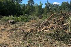 Clearing-Project-Waldorf-MD-12