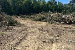 Clearing-Project-Waldorf-MD-13