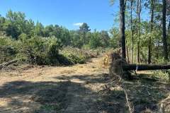 Clearing-Project-Waldorf-MD-14