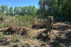 Clearing-Project-Waldorf-MD-2