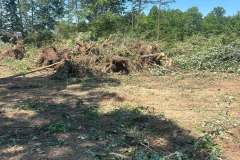 Clearing-Project-Waldorf-MD-3