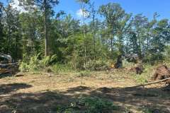 Clearing-Project-Waldorf-MD-4