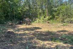 Clearing-Project-Waldorf-MD-5