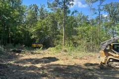 Clearing-Project-Waldorf-MD-6