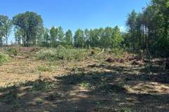 Clearing-Project-Waldorf-MD-7