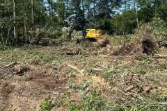 Clearing-Project-Waldorf-MD-8