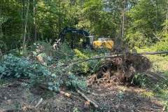 Clearing-Project-Waldorf-MD-9