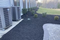 Collentro-Cleanup-5