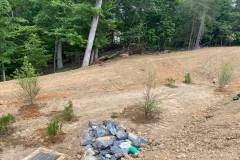 Commercial Landscaping - Pond