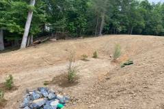 SWM BIO Pond 4