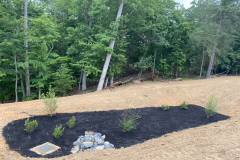 SWM BIO Pond 5