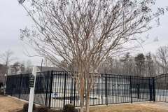 Mulch-Crews-2