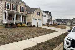 Lawn-Revival-1