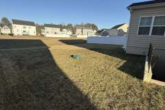 Lawn-Revival-5