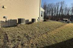 Lawn-Revival-6