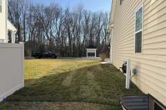 Lawn-Revival-7