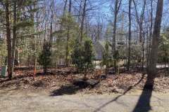 Planting-Services-6