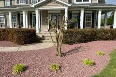 Landscape Design