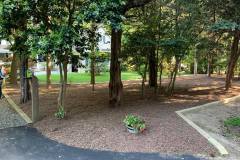 Landscape Completion in Tall Timbers