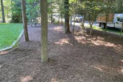 Mulch and Timber Boarder in Tall Timbers
