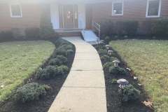 Landscaping-Collentro-1