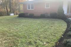 Landscaping-Collentro-2