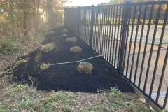 Landscaping-Collentro-4