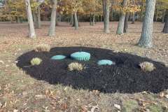 Landscaping-Collentro-6