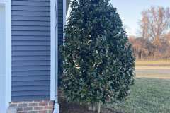 Landscaping-St-Inigoes-MD-3