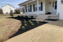 Collentro-Lexington-Park-5