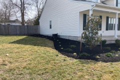 Collentro-Lexington-Park-6