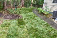 Lawn-Renovation-California-MD-2