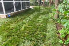 Lawn-Renovation-California-MD-4