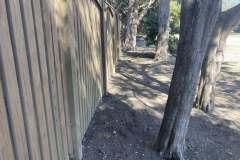 Leaf-Cleanup-California-MD-3