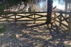 Leaf-Cleanup-California-MD-5