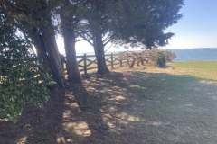 Leaf-Cleanup-California-MD-7