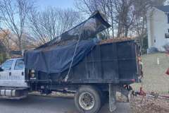 Leaf-Cleanup-2
