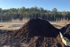 Mulch-Madness-2