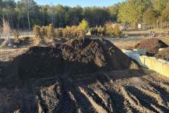 Mulch-Madness-4
