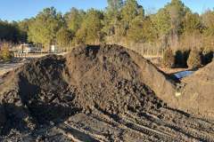 Mulch-Madness-5