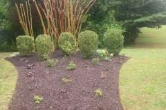 mulching-and-pruning-1
