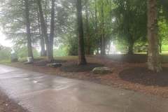 mulching-and-pruning-2