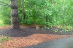 mulching-and-pruning-3
